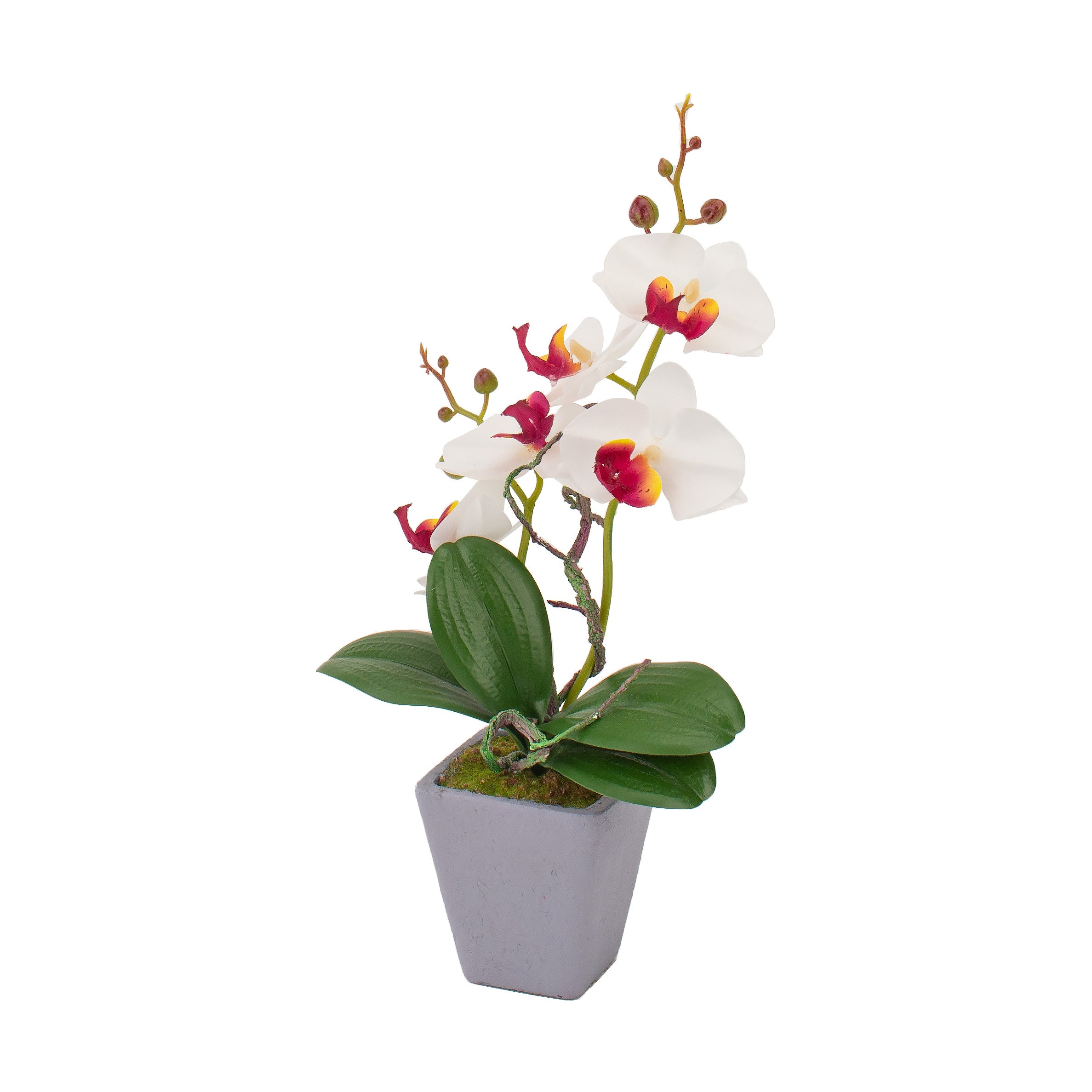 VASO CON ORCHIDEA D.8XH34CM IN 4 COLORI CON 5 FIOR