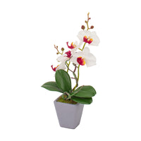 VASO CON ORCHIDEA D.8XH34CM IN 4 COLORI CON 5 FIOR