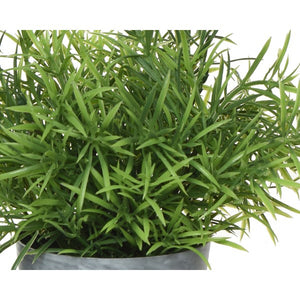 VASO CON PIANTINA H21CM IN 4 MODELLI