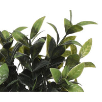 VASO CON PIANTINA H21CM IN 4 MODELLI