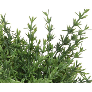 VASO CON PIANTINA H21CM IN 4 MODELLI