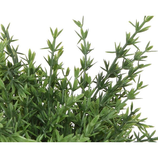 VASO CON PIANTINA H21CM IN 4 MODELLI