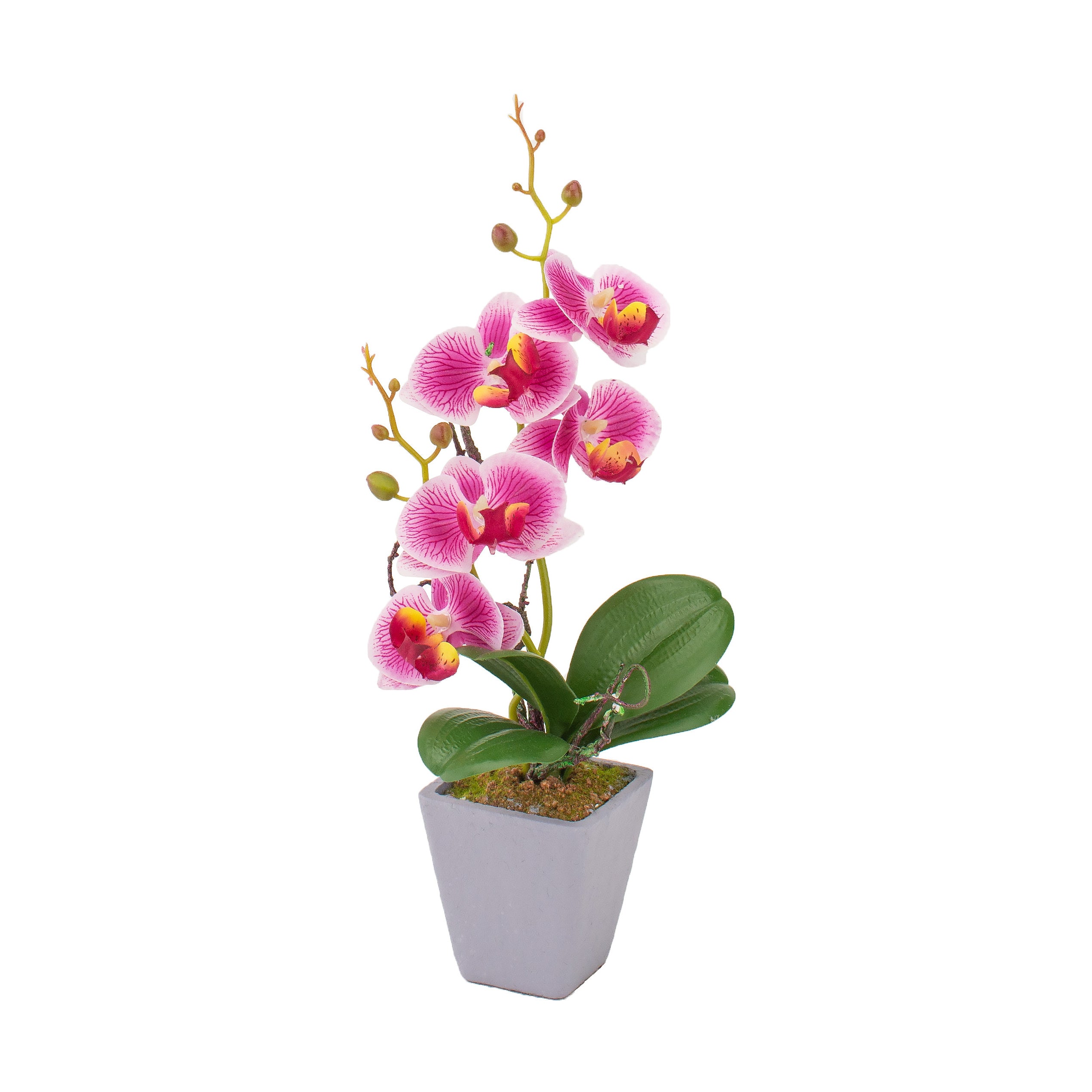 VASO CON ORCHIDEA D.8XH34CM IN 4 COLORI CON 5 FIOR