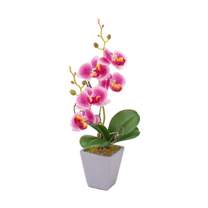 VASO CON ORCHIDEA D.8XH34CM IN 4 COLORI CON 5 FIOR