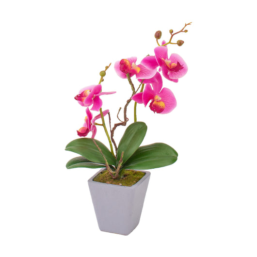 VASO CON ORCHIDEA D.8XH34CM IN 4 COLORI CON 5 FIOR