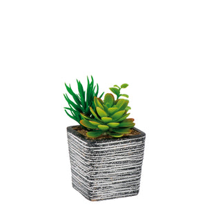 VASO CON PIANTE GRASSE 8X8XH14CM IN 4 COLORI