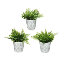 VASO GRIGIO A NIDO D'APE CON PIANTA D.11XH23CM IN