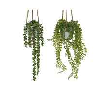 VASO CON PIANTA 15X10XH15CM IN 2 ASSORTIMENTI