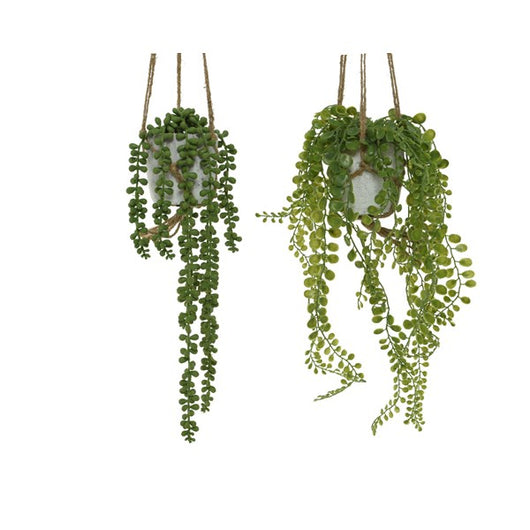 VASO CON PIANTA 15X10XH15CM IN 2 ASSORTIMENTI