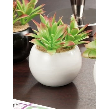 VASO +PIANTA GR D7,5X5,5H