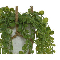 VASO CON PIANTA 15X10XH15CM IN 2 ASSORTIMENTI