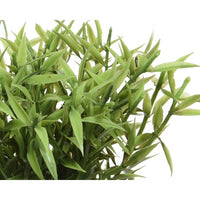 VASO INTRECCIATO CON ERBETTA D.16XH30CM