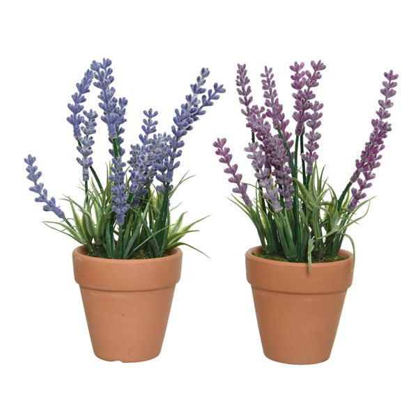 VASO MARRONE CON LAVANDA H18CM IN 2 COLORI