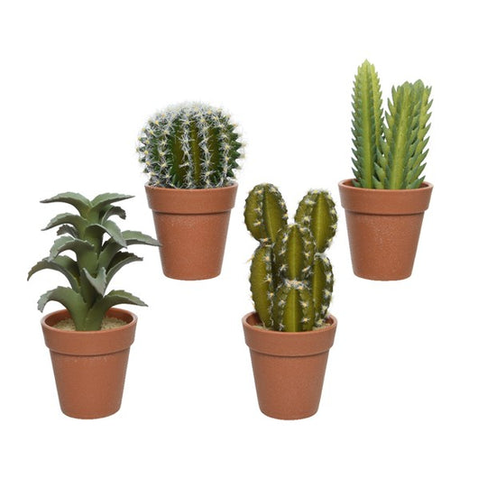 VASO MARRONE CON PIANTA GRASSA H18CM IN 4 MODELLI