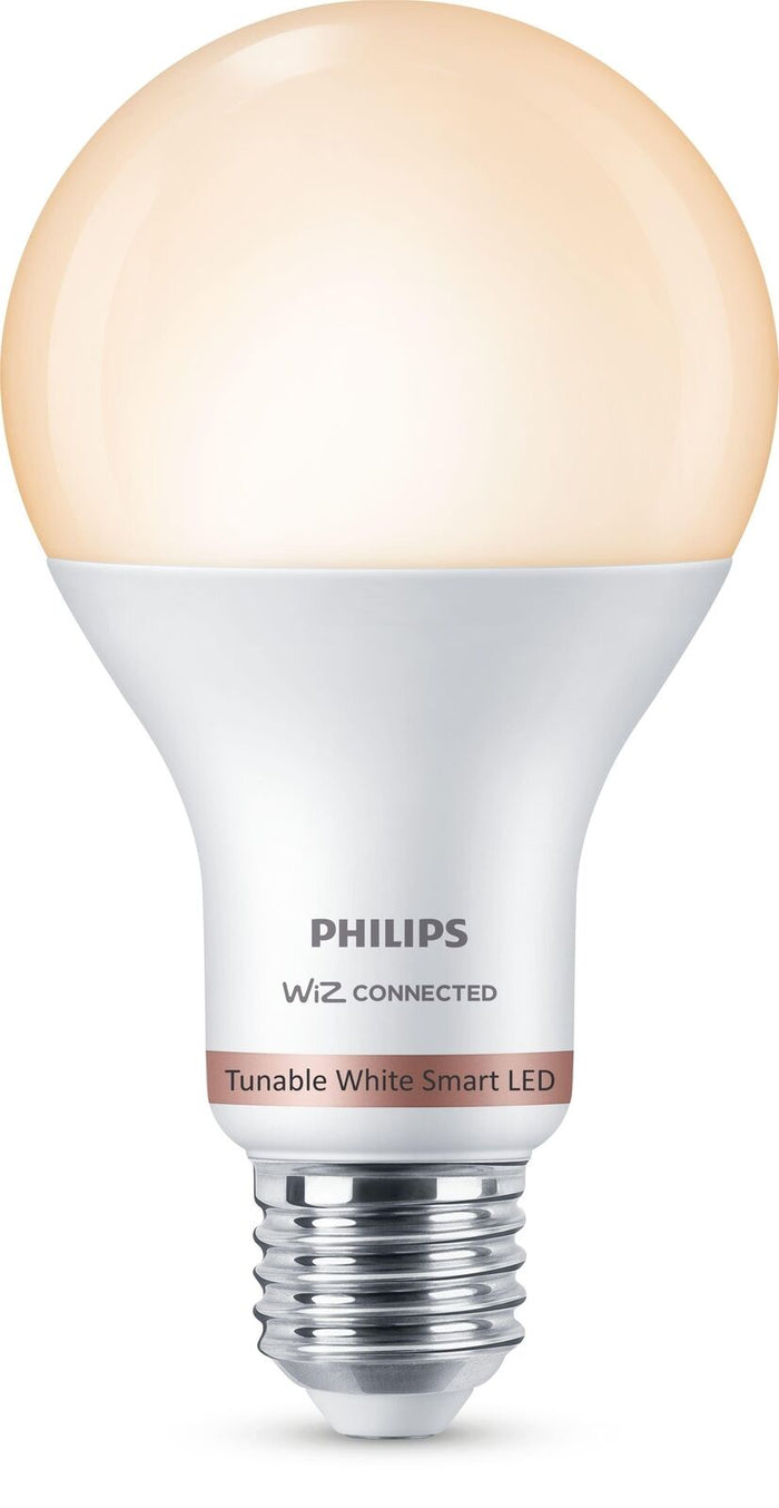 Philips Lampadina A67 E27