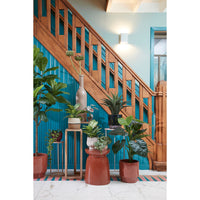 BOTTIGLIA RIOJA D.21XH100CM TORTORA