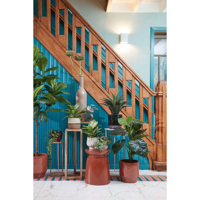 BOTTIGLIA RIOJA D.21XH100CM TORTORA