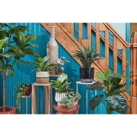 BOTTIGLIA RIOJA D.18XH75CM TORTORA