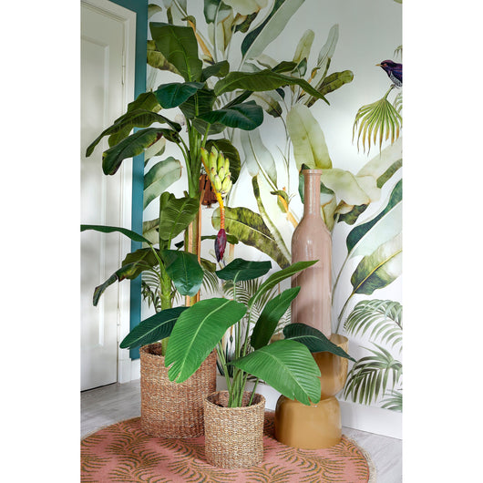 BOTTIGLIA RIOJA D.21XH100CM TORTORA