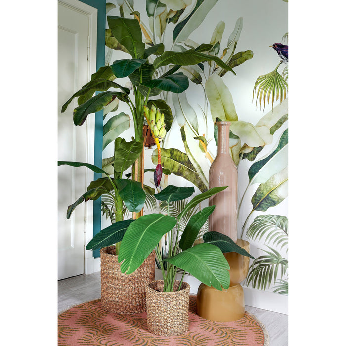 BOTTIGLIA RIOJA D.18XH75CM TORTORA