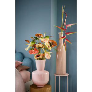 BOTTIGLIA RIOJA D.18XH75CM TORTORA