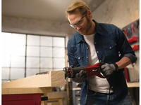 Seghetto a gattuccio Einhell TE-AP 750 E 750W corsa 20 mm taglio legno 150mm