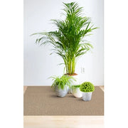 COPRIPAVIMENTO PVC CORALLO 9845-4   0,80MM 200HCM- 80,0 mq