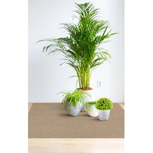 COPRIPAVIMENTO PVC CORALLO 9845-4   0,80MM 200HCM- 80,0 mq