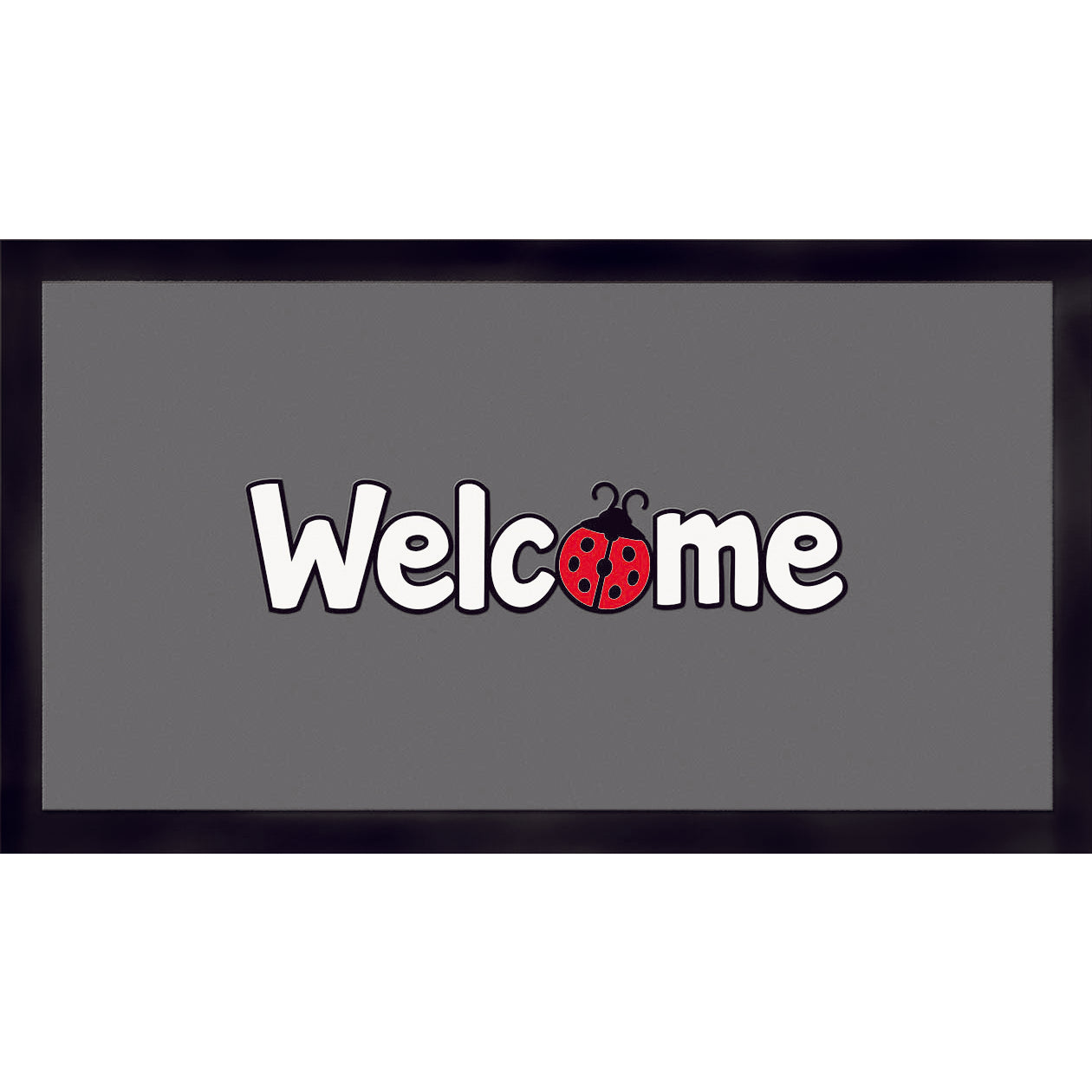 ZERBINO PULIPASS 40X70CM GRIGIO