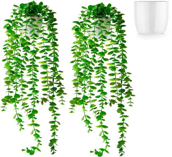 Set di 2 Eucalipto Artificiale (60cm) in vasi ceramici bianchi: piante artificiali da appendere | piante artificiali come vere | piante artificiali da appendere | piante artificiali da appendere in vaso