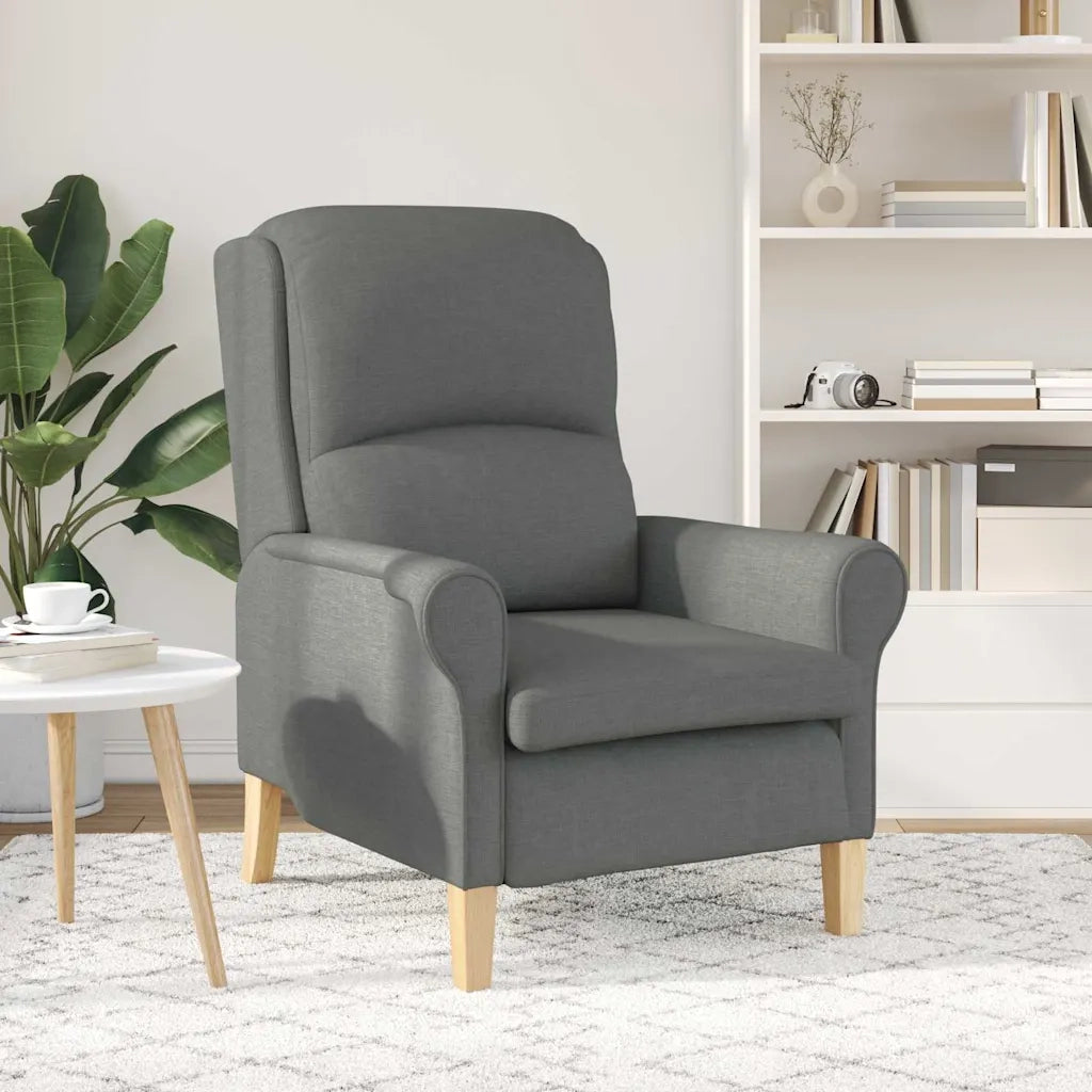Poltrona-Divano Sedia-Poltroncina Grigio scuro Tessuto 207608