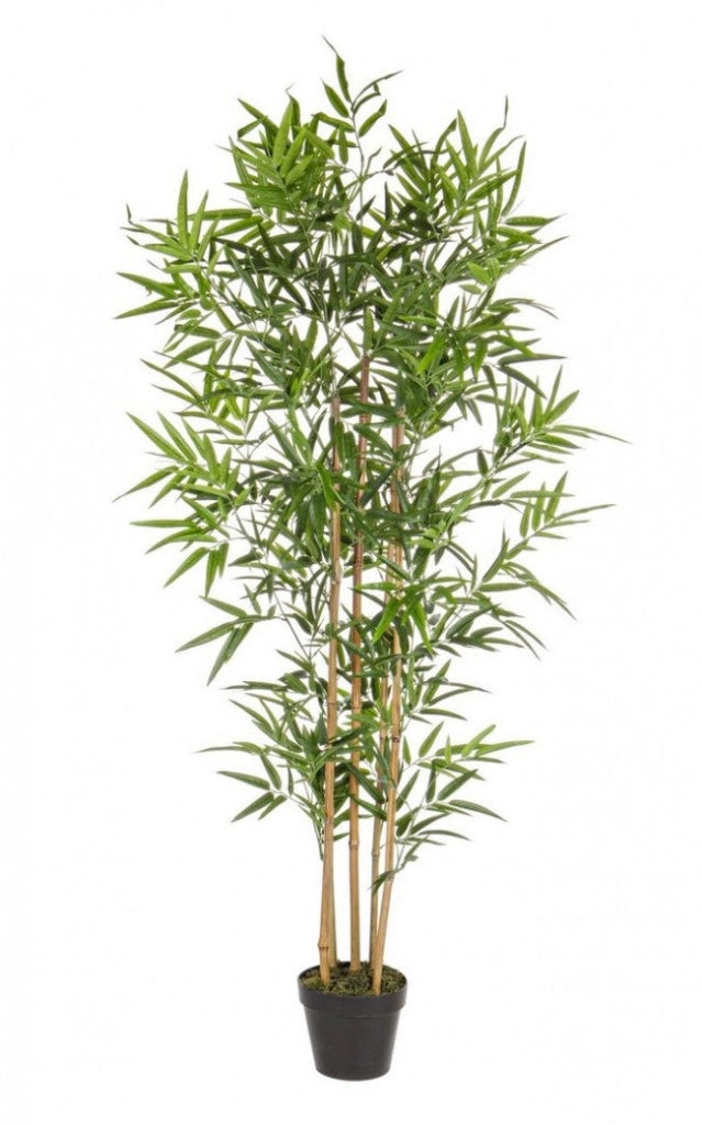 Set 2 Piante Artificiali di Bamboo 70x70x155 cm in Plastica con Vasi Verde