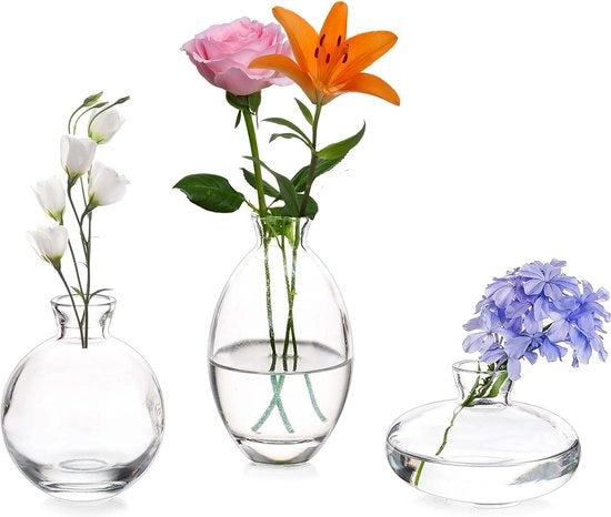Set da tavola per tre persone, vasi da fiori mini, moderni, trasparenti, vasi da fiori mini, flaconcini in vetro, vaso da fiori decorativo, decorazione per tavola, libri, matrimonio, battesimo, compleanno, regalo per