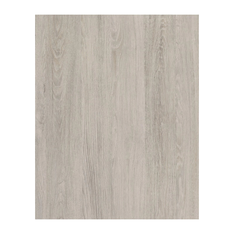 RT PLASTICA ADESIVA 280.3188 ROVERE SANTANA 2,5 M- HORNSCHUCH ITALIA- 3,0 rotoli