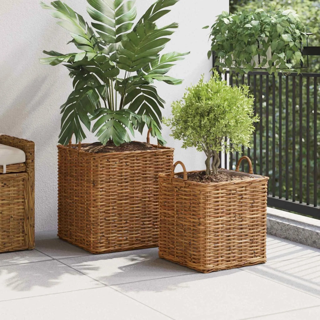 Cestino per Piante con archiviazione 2 pcs Marrone Rattan Lacak 42020970