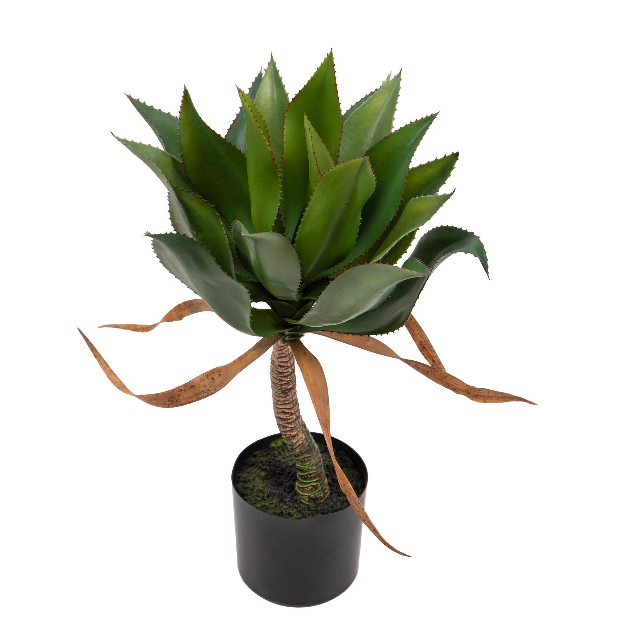 Pianta Artificiale Agave H71 cm con Vaso