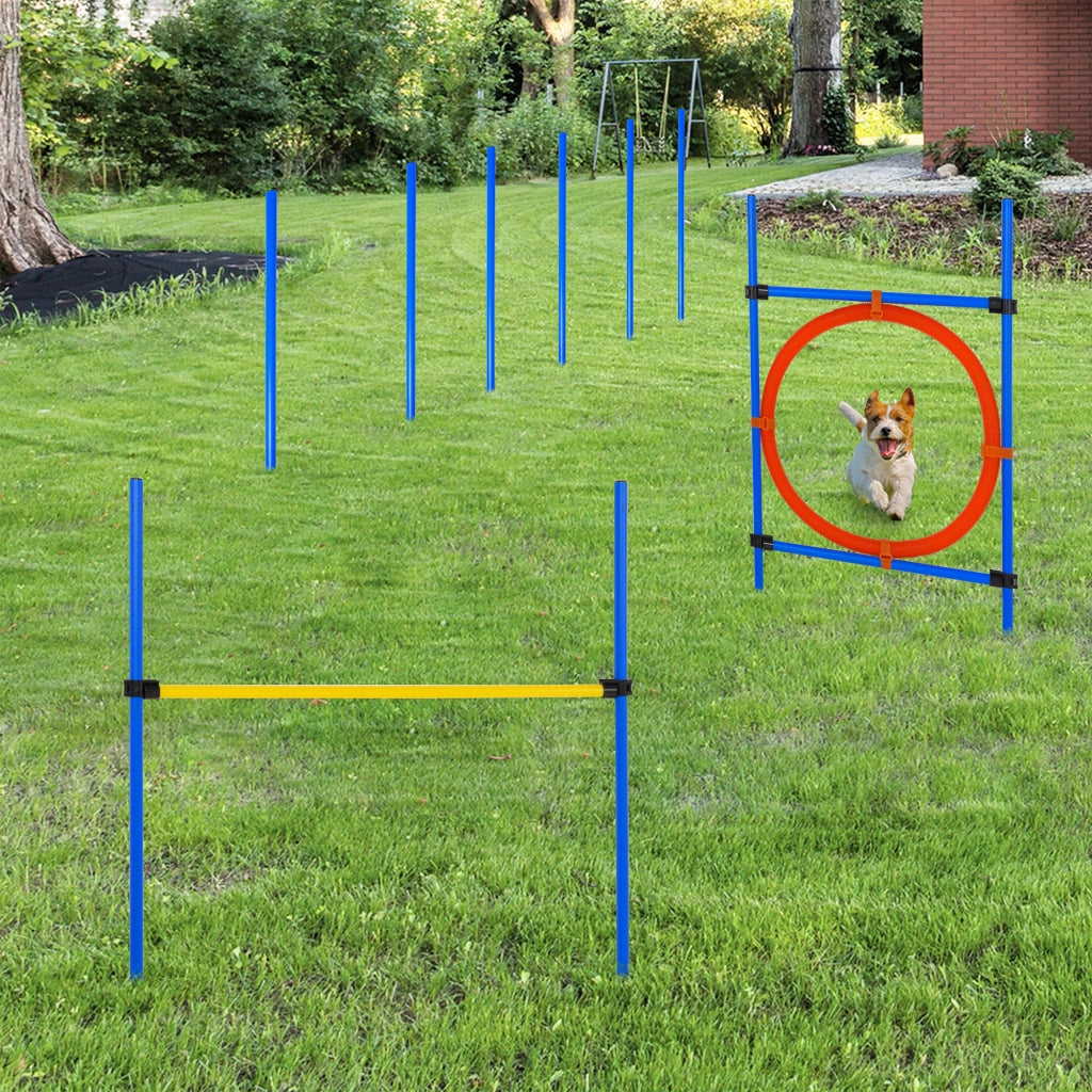 Set Attrezzatura Agility per Cani ¨C zephmum ¨C Pali Slalom, Ostacolo, Anello + Sacchetto Blu Giallo Rosso