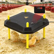 Caldaia per uccelli 40x40cm 42W nero-giallo - Con termostato regolabile