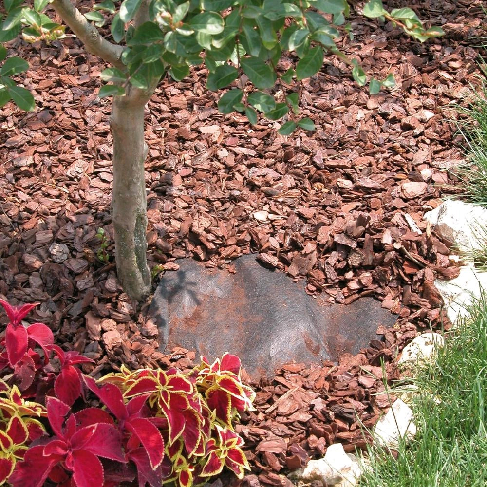 Corteccia di Pino Naturale 60 Litri Granulometria 25-40 mm per decorazione Giardino