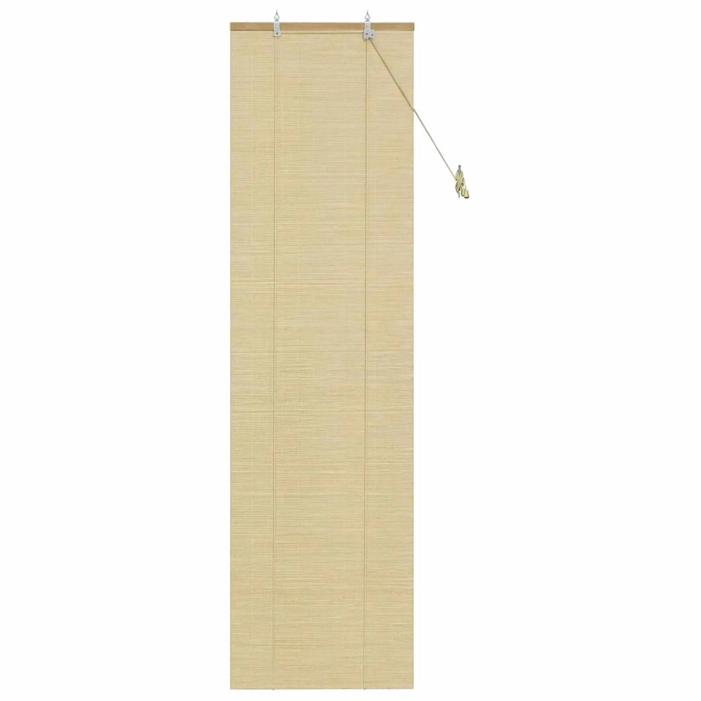 Tenda a rullo Naturale 40 x 220 cm Bambù 42039749