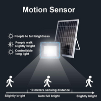Proiettore led con pannello solare serie light on programmabile con telecomando *** potenza 400w, confezione 1