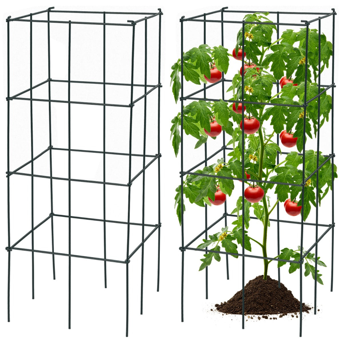 4 Pezzi di supporto per piante da giardino per uva, Supporto verticale per piante rampicanti per pomodori 40 x 40 x 100 cm-Scaffali per piante