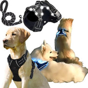 Accessori di illuminazione LED per cinture per cani piccoli e grandi. Cinturone per cani anti-snatching regolabile con cinghia e supporto per GoPro.