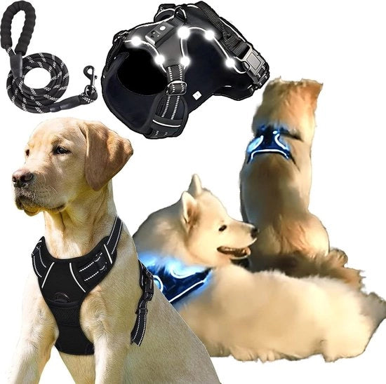 Accessori di illuminazione LED per cinture per cani piccoli e grandi. Cinturone per cani anti-snatching regolabile con cinghia e supporto per GoPro.