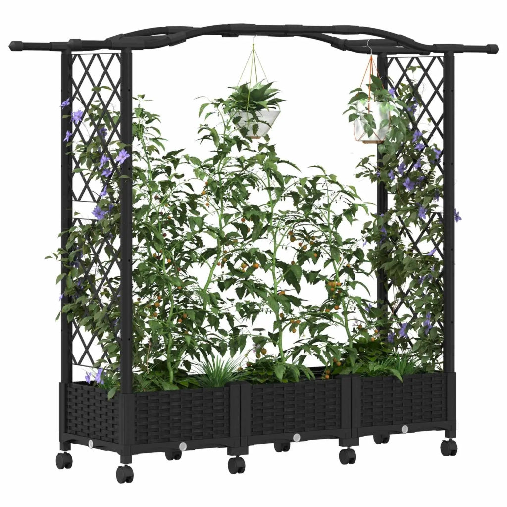 Letto Rialzato con Griglia e Tetto Nero 169 x 40 x 129 cm PP 3423097