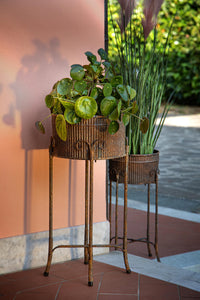 Set 2 Vasi in Ferro con Alz 31 H 69