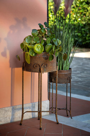 Set 2 Vasi in Ferro con Alz 31 H 69