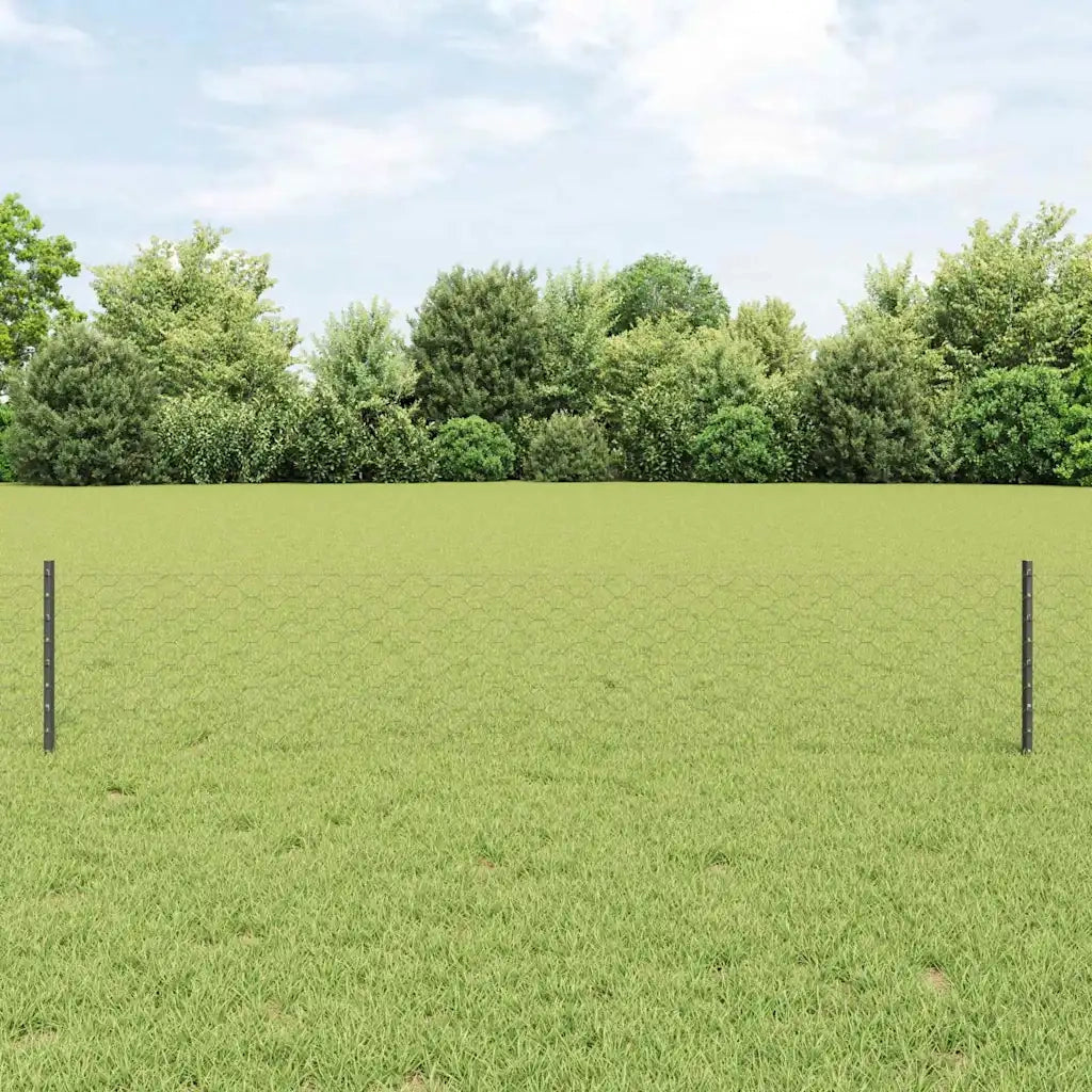 Recinzione da Giardino | Recinzione con Posto Grigio