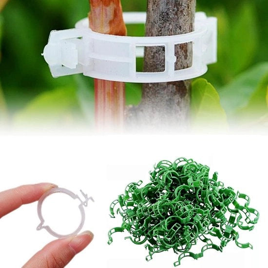 Clip per piante di rampicanti 100/200 pezzi - Attrezzi per piante di pomodoro clip per piante da giardino - Sostegno e sicurezza (200 verde)
