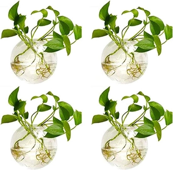 Pannelli per piante da appendere 4pz, diametro 10cm, vasi da piante in vetro rotondi per acqua, terrarium e contenitori per piante.